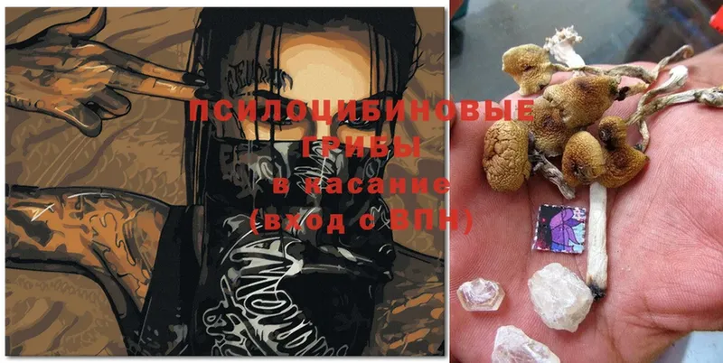 Псилоцибиновые грибы Psilocybine cubensis  купить закладку  Жигулёвск 